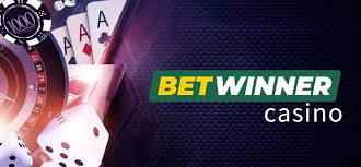 BetWinner Sports Betting A Comprehensive Guide for Enthusiasts