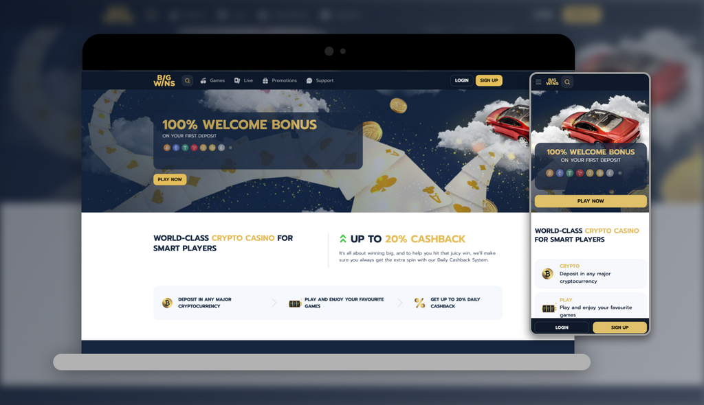 BigWins 2025 - Financial & Payment Choices at BigWins