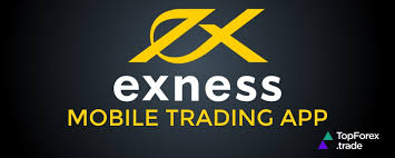 Understanding the Exness MT4 Server IP A Comprehensive Guide